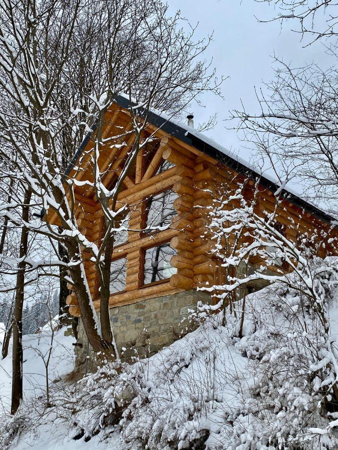 Chalet Pidstromom Mykulychyn Esterno foto