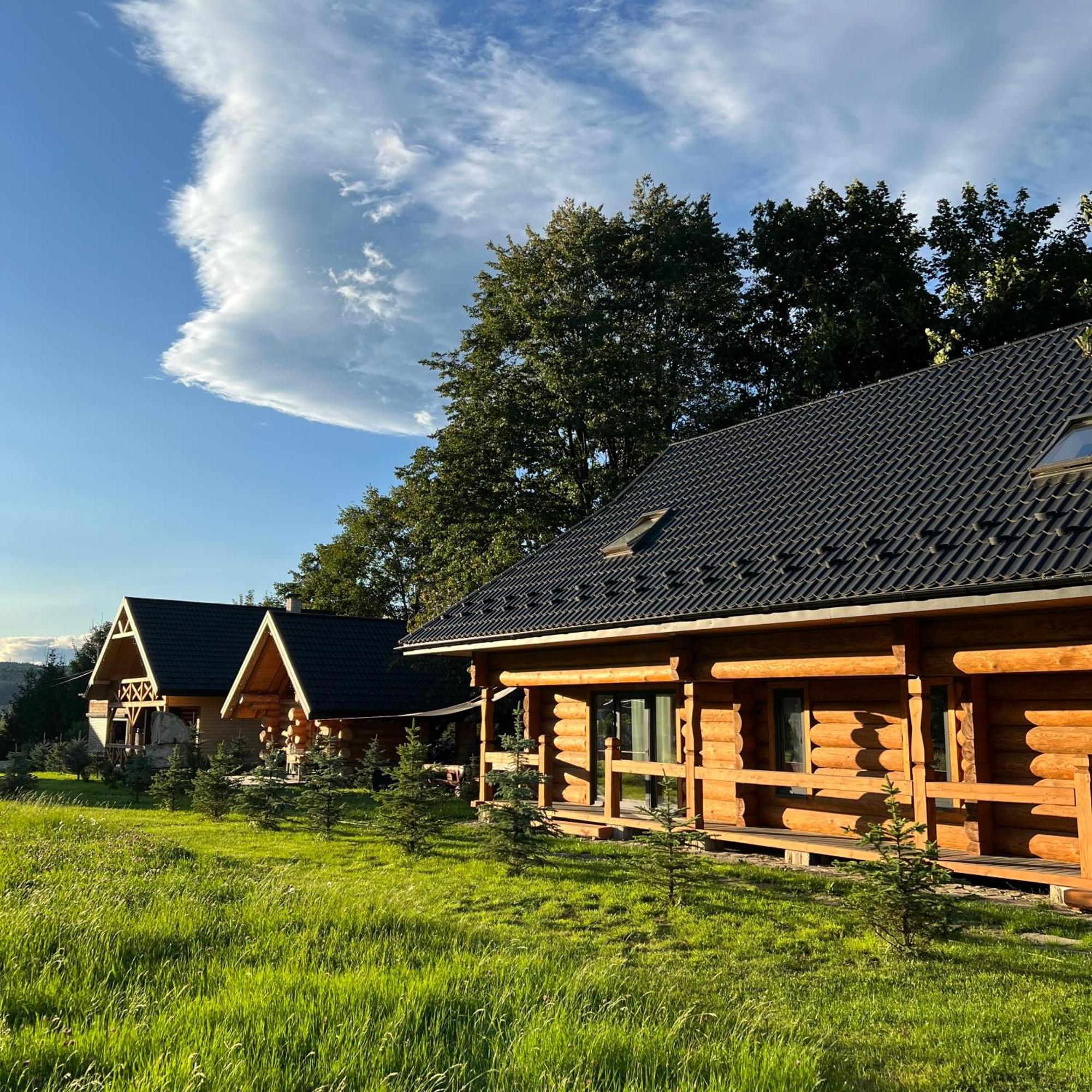 Chalet Pidstromom Mykulychyn Esterno foto